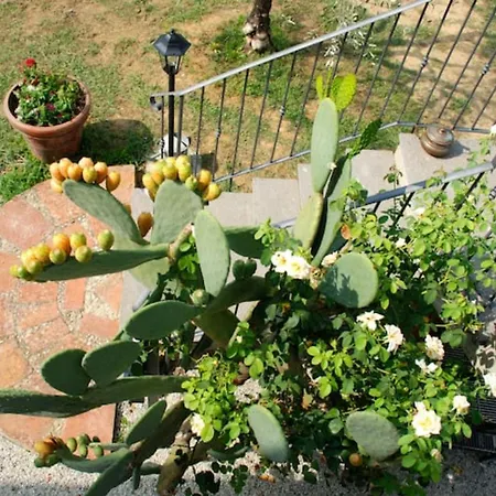 Le Cerbaie Lamporecchio