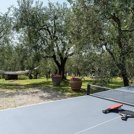 Holiday home Le Cerbaie Lamporecchio