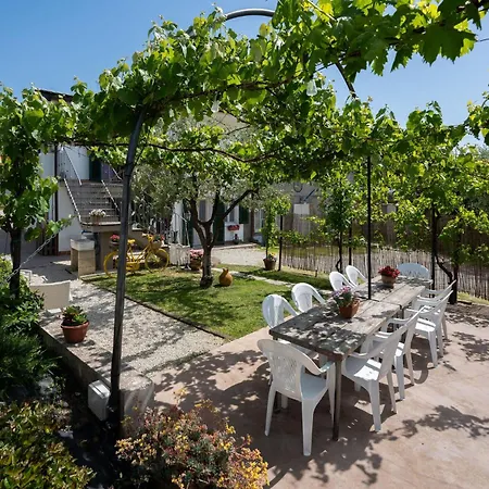 Holiday home Le Cerbaie Lamporecchio